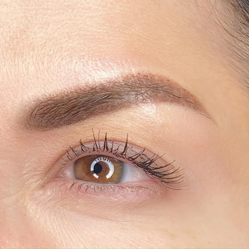 Cejas con micropigmentación