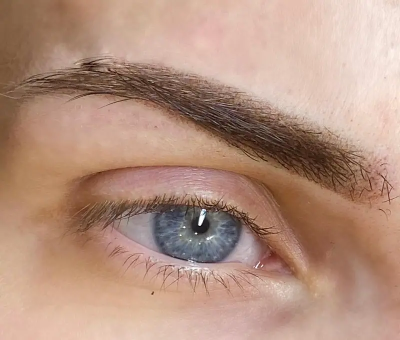 Cejas con micropigmentación