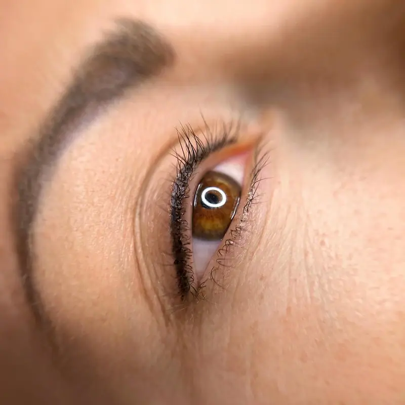 Cejas pelo a pelo