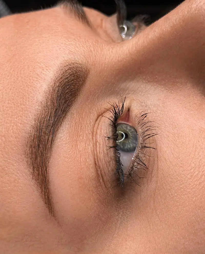 Cejas pelo a pelo