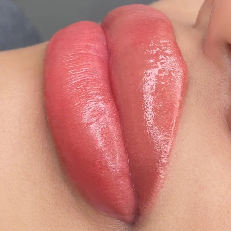 Labios, acabado brillante